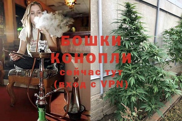 каннабис Абинск