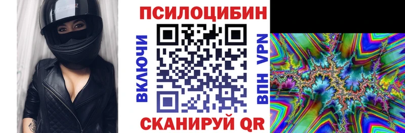 MEGA как зайти  наркотики  Циолковский  Галлюциногенные грибы прущие грибы 