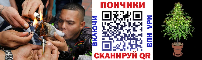 darknet состав  Циолковский  Каннабис индика 